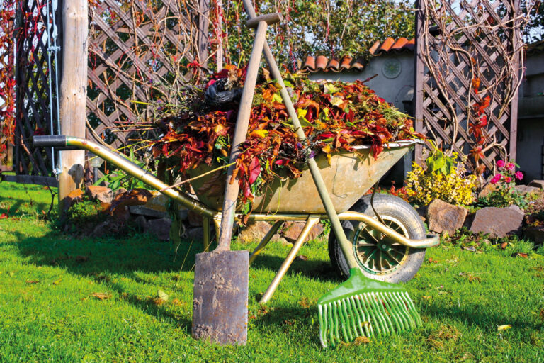 Schubkarre in einem Garten gefüllt mit Gartenabfall