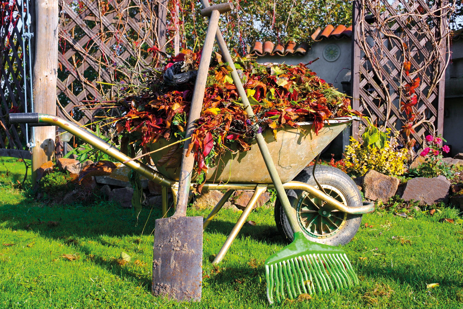 Schubkarre im Garten gefüllt mit Gartenabfall